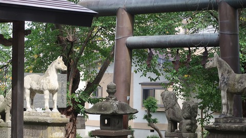 20200920124039_IMG_7996