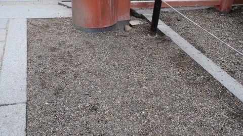 20210103154614_IMG_9867