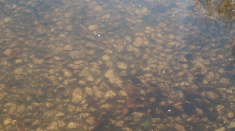 20190413154451_IMG_1917