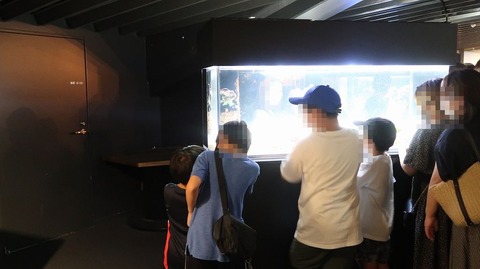 20220812124202_IMG_5650