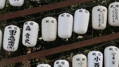 20200810121028_IMG_7207