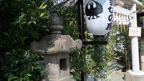 20190331134646_IMG_1417