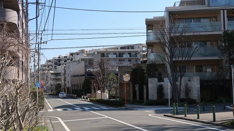 20190309095226_IMG_1130