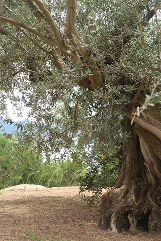 20220703110958_IMG_4967