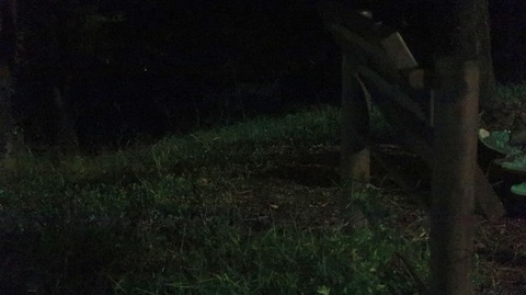 20220828193607_IMG_6103