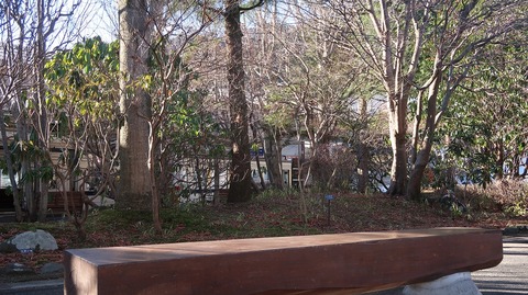 20211219090628_IMG_2454