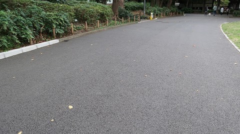 20221016160535_IMG_6624