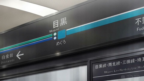 20230811131232_IMG_8946_