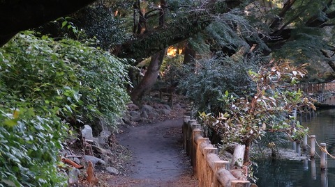 20191102170638_IMG_4751