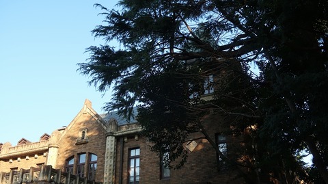 20230108144633_IMG_7513