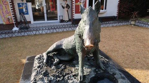 20190120135705_IMG_0745