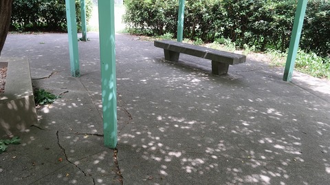 20220812135227_IMG_5674