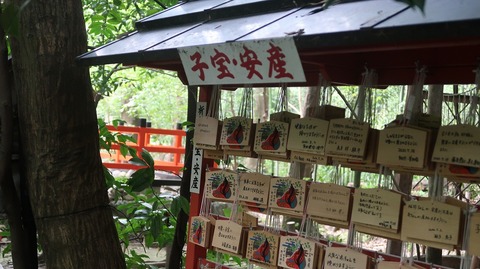 20200808102703_IMG_7075