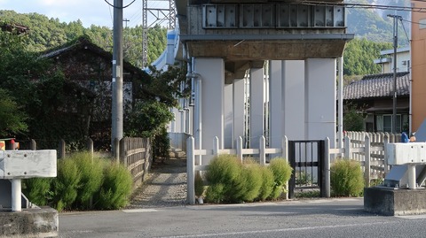 20231007150449_IMG_9686