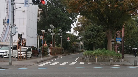 20211031154747_IMG_2288