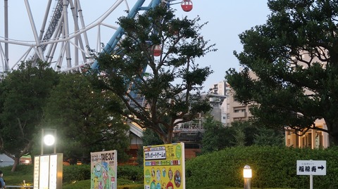 20200815185505_IMG_7429