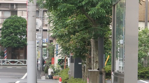 20220716180932_IMG_5033