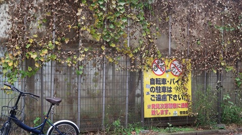 20221126122714_IMG_7048