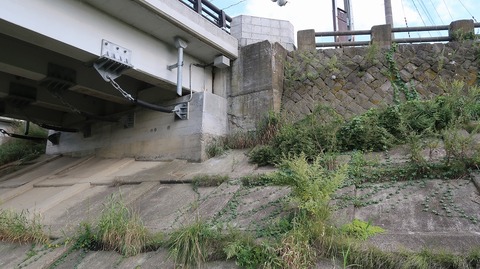 20200921152412_IMG_8165