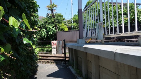 20190525095728_IMG_2364