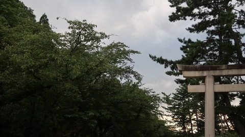 20200919165145_IMG_7884