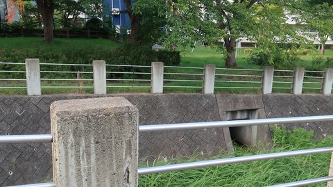 20200920153707_IMG_8072