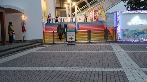 20211205165408_IMG_2412