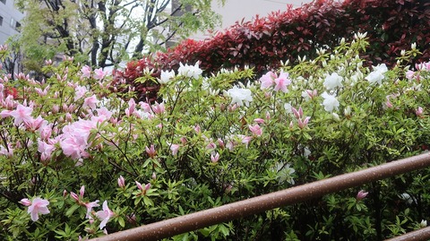 20230415165412_IMG_7951