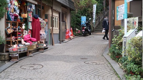 20221217120104_IMG_7377