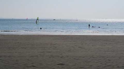 20190223103339_IMG_0970