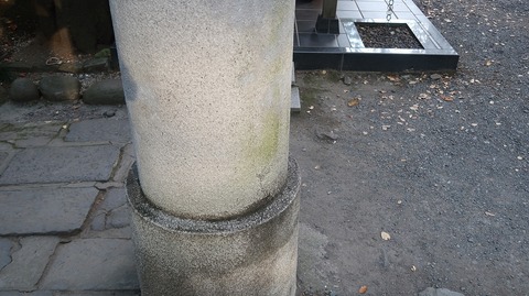 20221030143934_IMG_6821