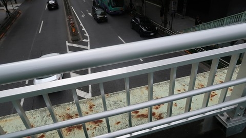 20231001114358_IMG_9534