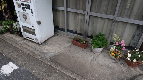 20210404173536_IMG_0998