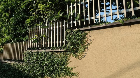 20220528173106_IMG_4417