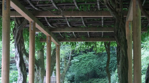 20220611180917_IMG_4629