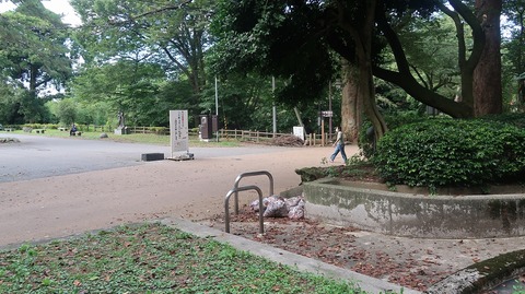 20200912145419_IMG_7669