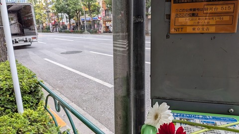 PXL_20251108_033340360