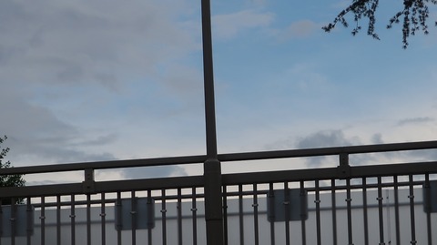 20200726182848_IMG_6814