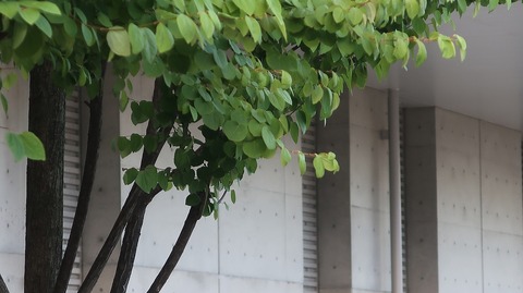 20220730174303_IMG_5295