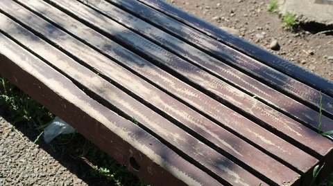 20190616151849_IMG_2596