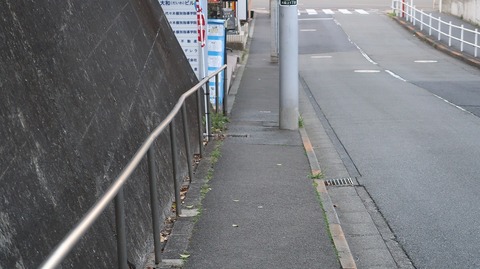 20220410173214_IMG_3432