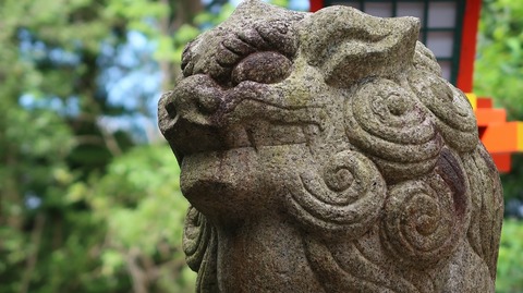 20220813101351_IMG_5826