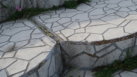 20230423162734_IMG_8097