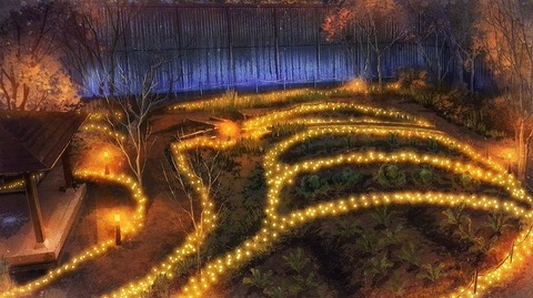 20220812114318_IMG_5652_