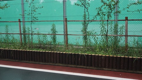 20220716154402_IMG_5012