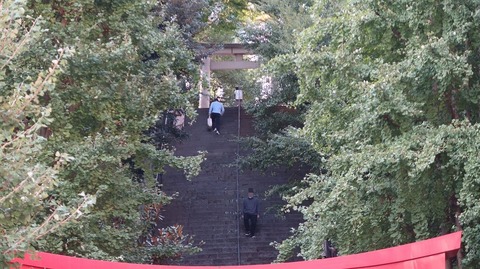 20221030144019_IMG_6776