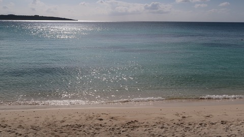 20221120144820_IMG_6916