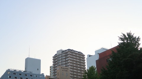 20220903173259_IMG_6119