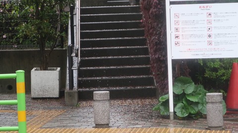 20230415170956_IMG_7967