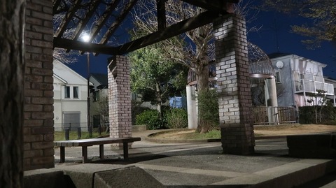 20190321184150_IMG_1208